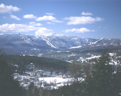 Online Real Estate Courses on Mt Stowe